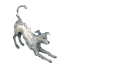Tomlinsons Boarding Kennels and Canine Centre